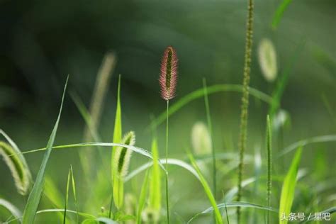 對著|對著幹